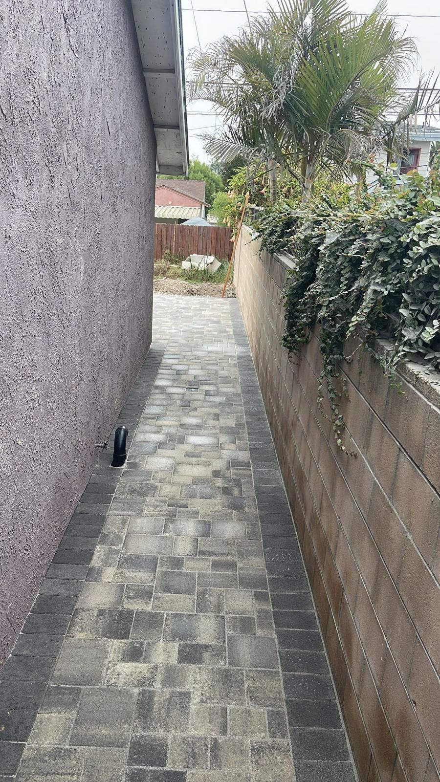 Narrow Paver Walkway With Ivy Wall