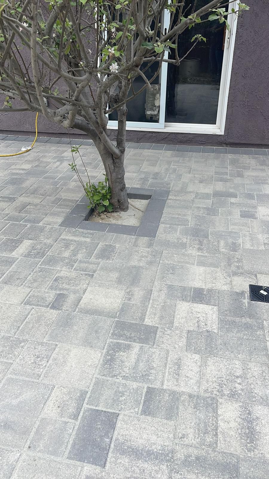 Paver Patio With Integrated Tree Planter